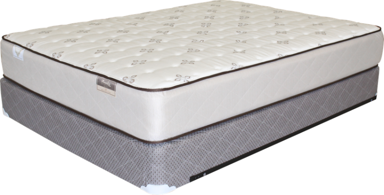 HD Plush II