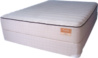 Foam Mattresses