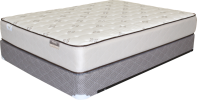 HD Plush II