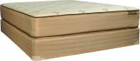 HD Plush II